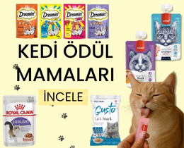 https://www.erpetgross.com/kedi/kedi-odul-mamalari