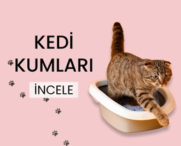 https://www.erpetgross.com/kedi/kedi-kumu