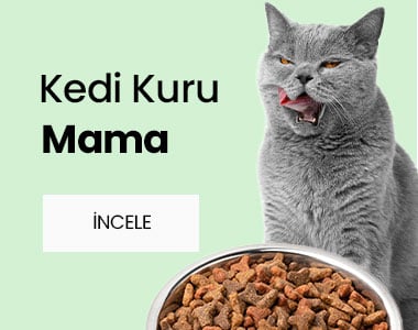 https://www.erpetgross.com/kedi/kedi-kuru-mamalari