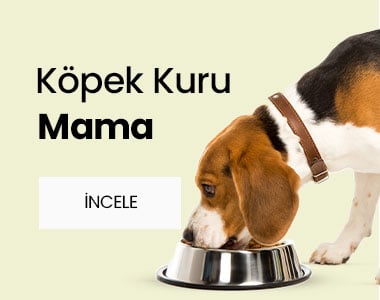 https://www.erpetgross.com/kopek/kopek-kuru-mamalari