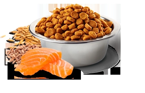 N&D Tropical Selection Somonlu 10 kg Orta ve Büyük Irk Yetişkin Köpek Maması