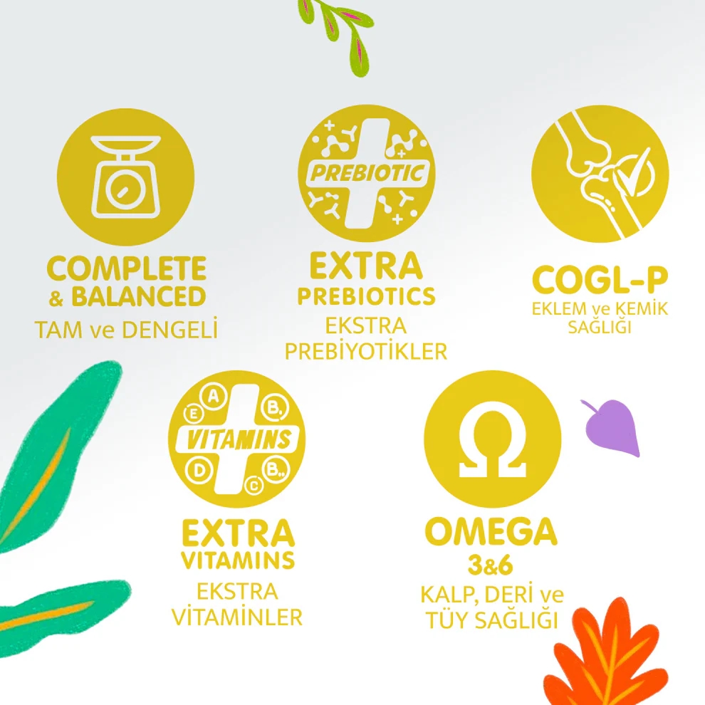 Jungle Kuzu Etli Yetişkin Köpek Maması 15kg