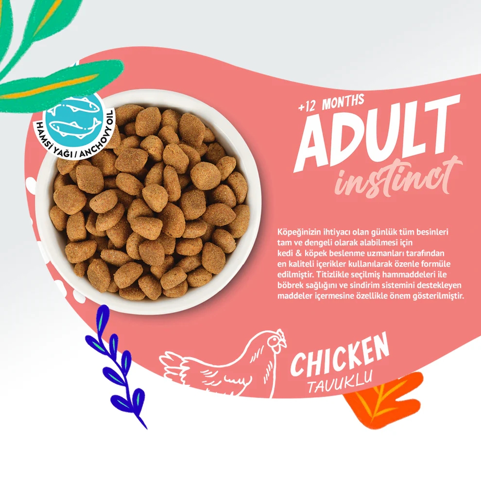 Jungle High Energy Tavuklu 15 kg Yetişkin Köpek Maması
