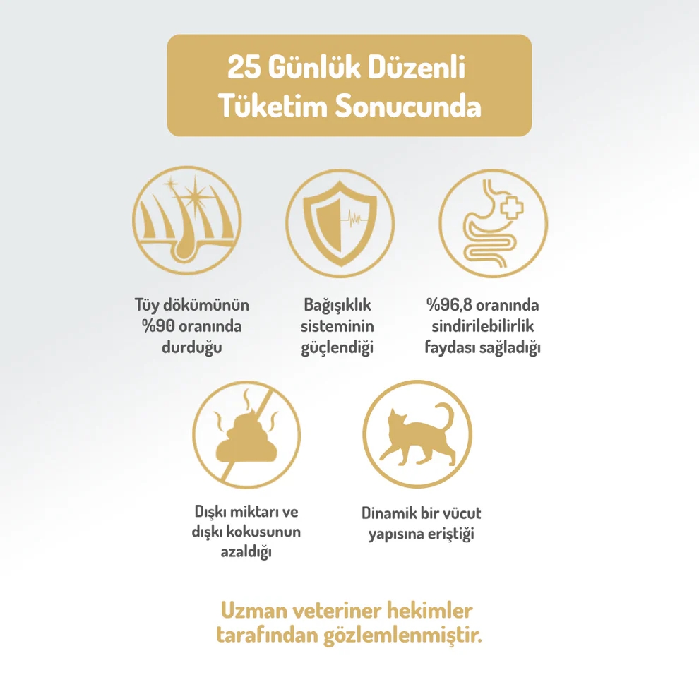 Felicia Kolajen Destekli Hipoalerjenik Kuzulu Yavru ve Anne Kedi Maması 2 Kg