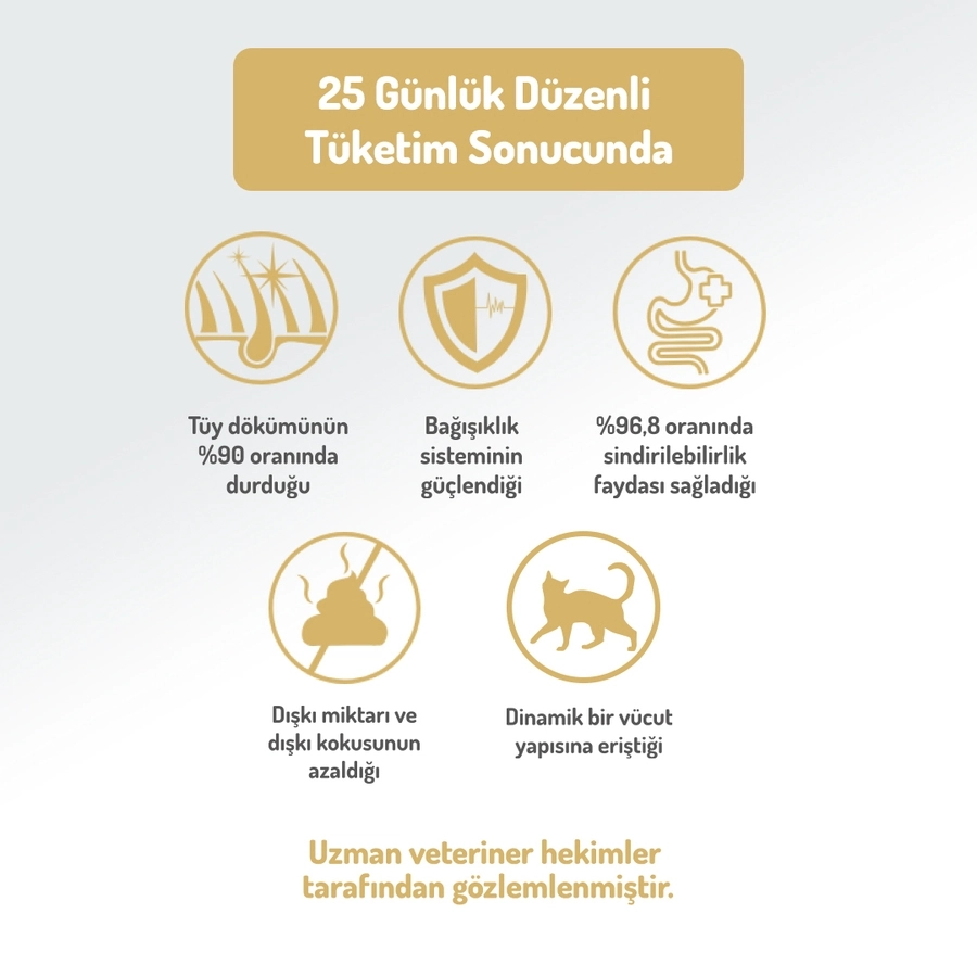 Felicia 12 KgKolajen Destekli Hipoalerjenik Somonlu Yetişkin Kedi Maması