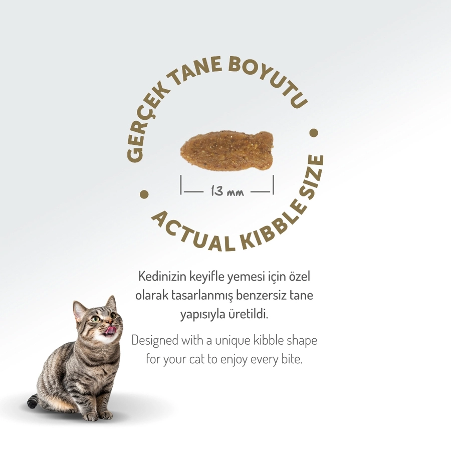 Felicia 12 KgKolajen Destekli Hipoalerjenik Somonlu Yetişkin Kedi Maması