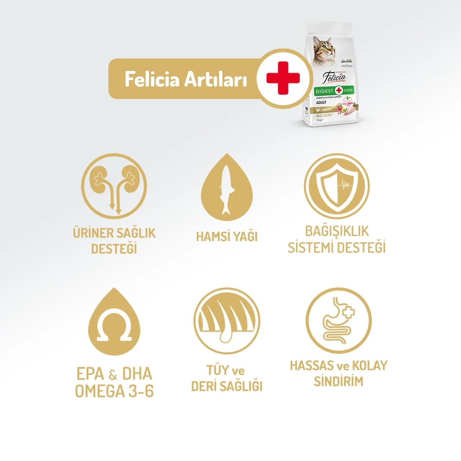 Felicia 12 Kg Kolajen Destekli Hipoalerjenik Tavuklu Yetişkin Kedi Maması
