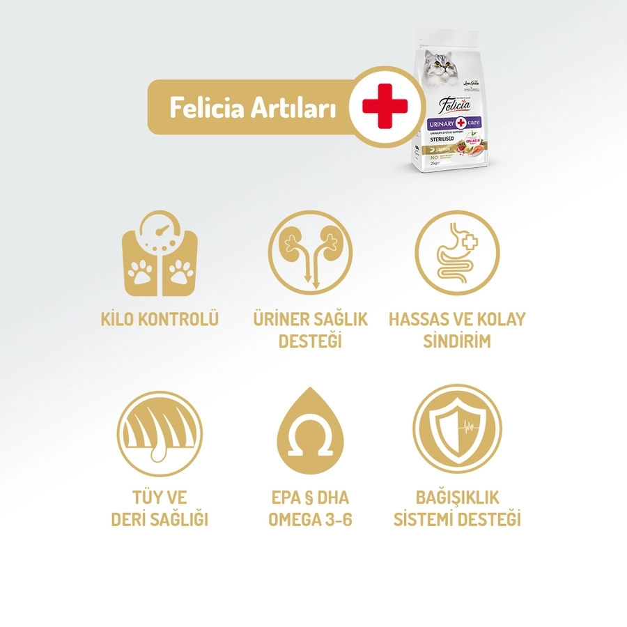 Felicia 2 Kg Kolajenli Somonlu Az Tahıllı Kısırlaştırılmış Kedi Maması HypoAllergenic Kedi Maması