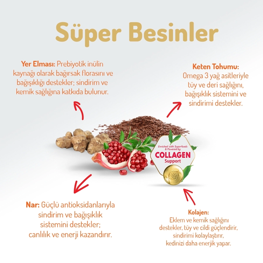 Felicia 2 Kg Kolajenli Somonlu Az Tahıllı Yetişkin Kedi Maması HypoAllergenic Kedi Maması