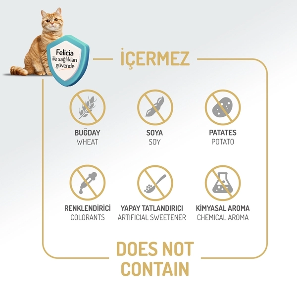 Felicia 2 Kg Kolajenli Kuzulu Az Tahıllı Yetişkin Kedi Maması Hypo Allergenic Kedi Maması