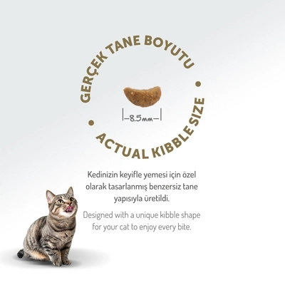 Felicia 2 Kg Kolajenli Kuzulu Az Tahıllı Yetişkin Kedi Maması Hypo Allergenic Kedi Maması
