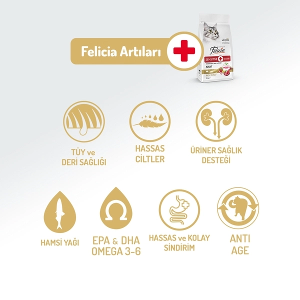 Felicia 2 Kg Kolajenli Kuzulu Az Tahıllı Yetişkin Kedi Maması Hypo Allergenic Kedi Maması