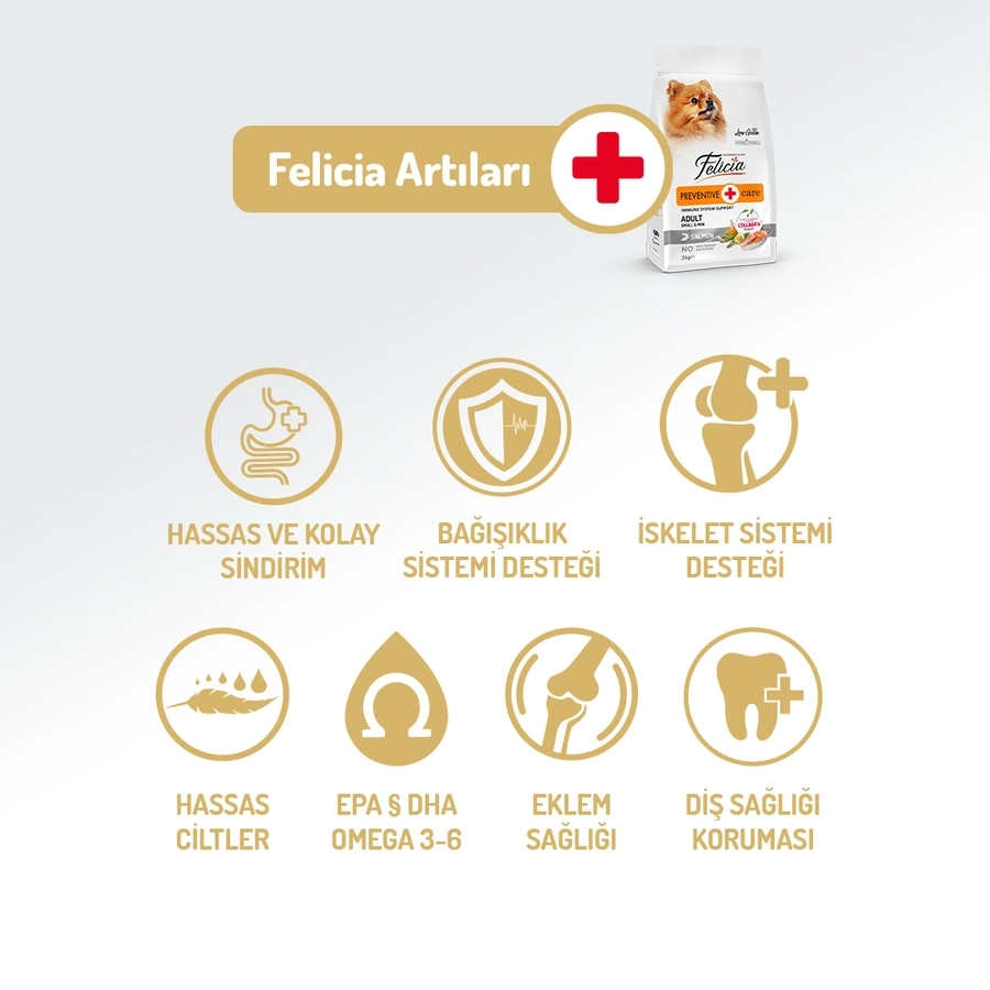 Felicia Kolajenli Somonlu Az Tahıllı Small Mini Yetişkin Köpek Maması Mini Hipoalerjenik 3 Kg
