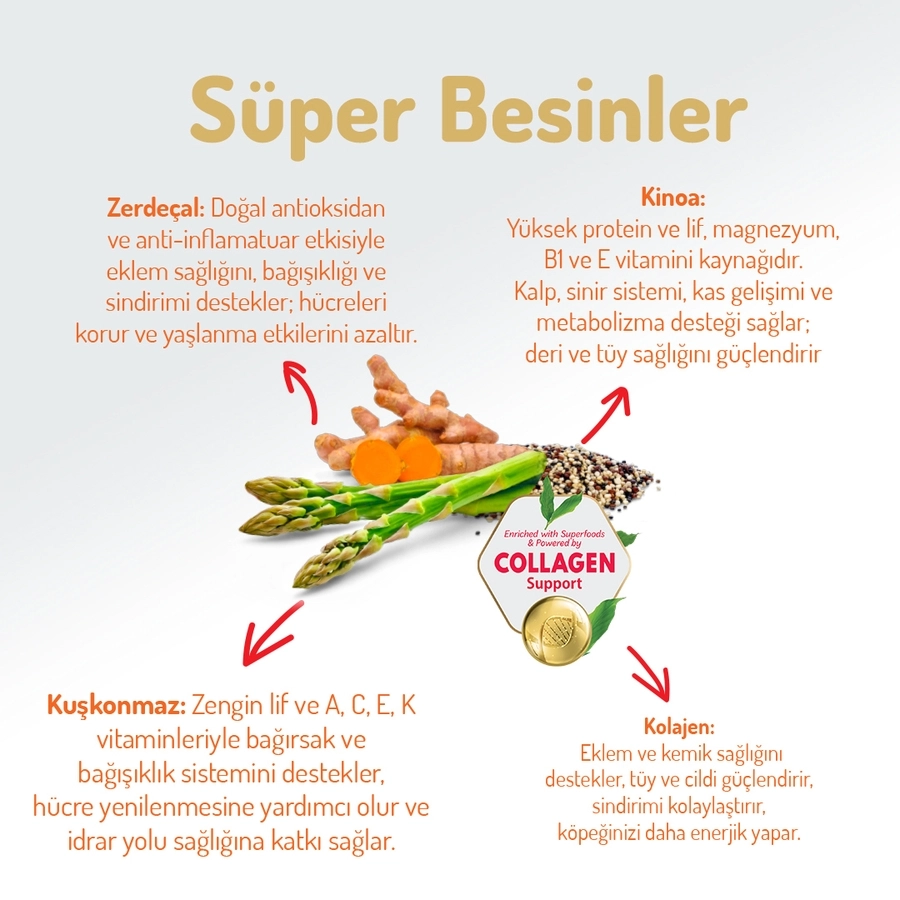 Felicia Kolajenli Somonlu Az Tahıllı Small Mini Yetişkin Köpek Maması Mini Hipoalerjenik 3 Kg