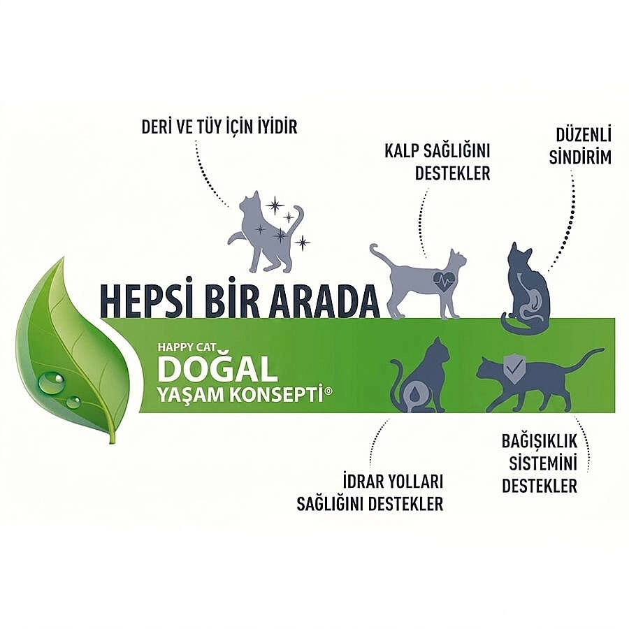 Happy Cat Atlantic Lachs Somonlu Kısırlaştırılmış Kedi Maması 10 kg