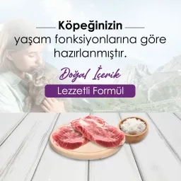 New Dog Kuzu Etli ve Pirinçli 15 kg Yetişkin Köpek Maması