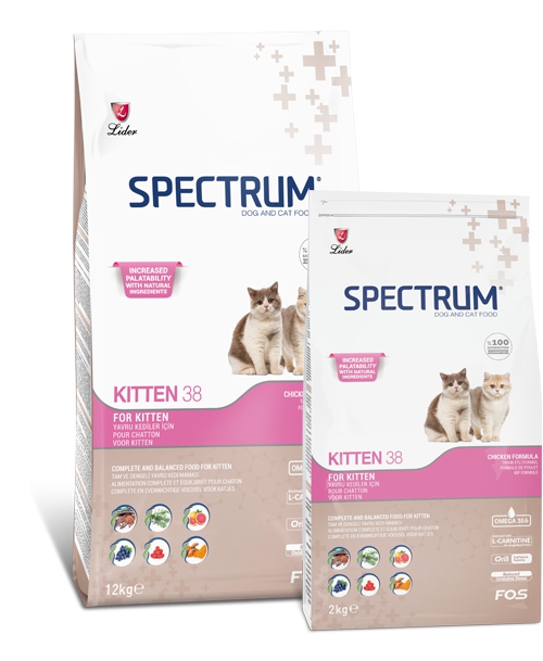 Spectrum Kitten 38 2 kg Yavru Kuru Kedi Maması