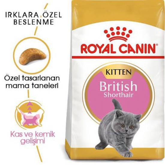 Royal Canin British Shorthair Kitten 2 Kg Yavru Kuru Kedi Maması