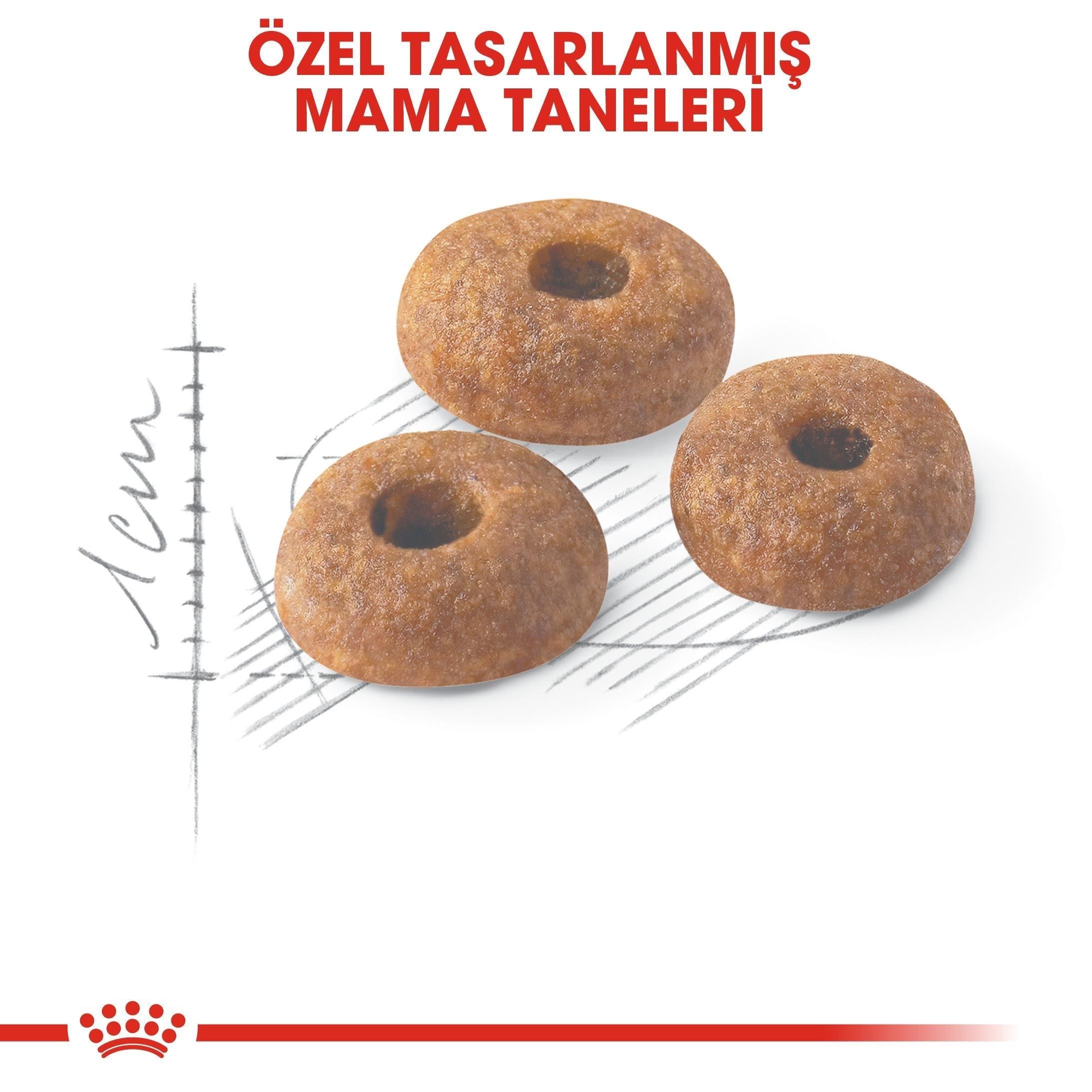 Royal Canin Fit 32 Yetişkin Kuru Kedi Maması 15 Kg