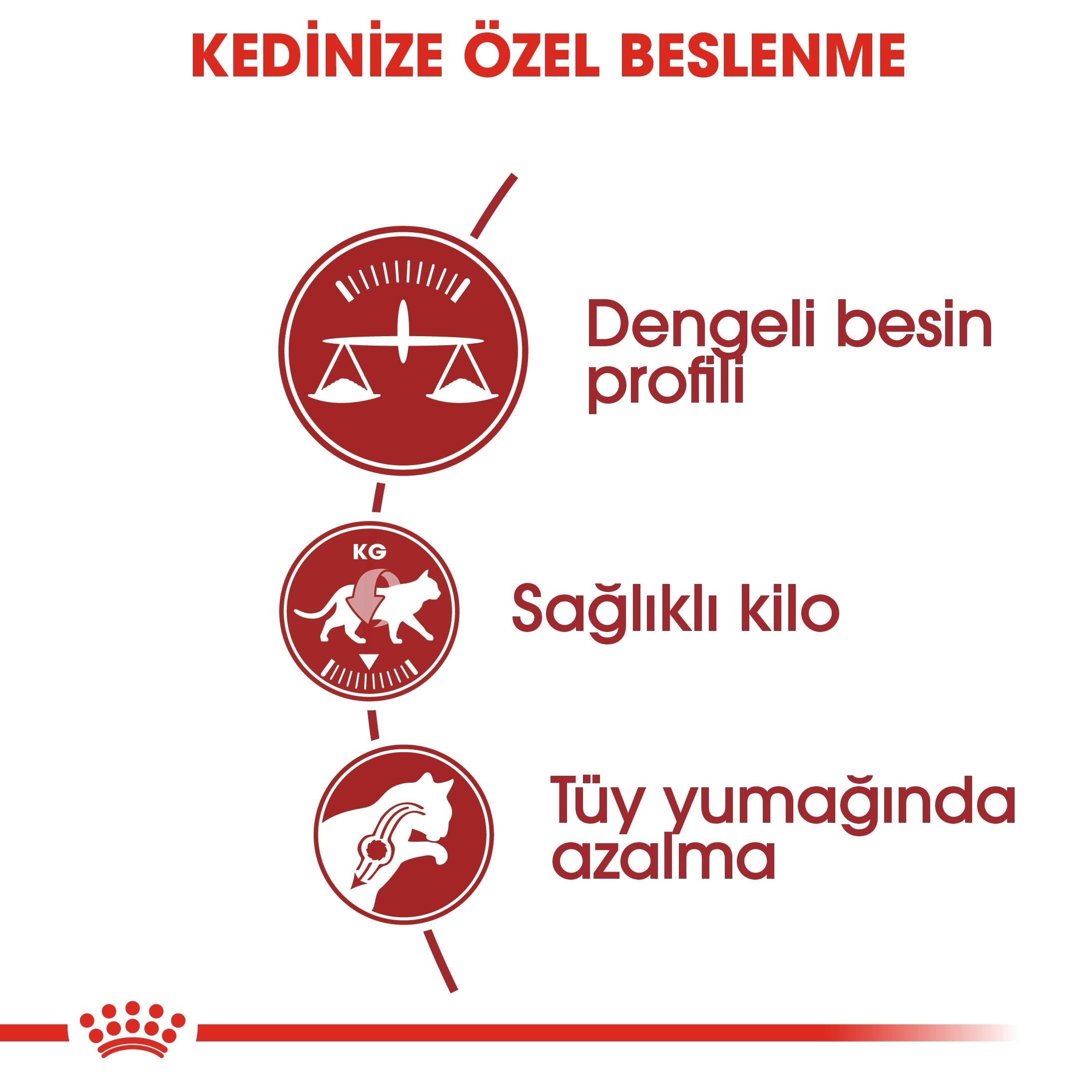 Royal Canin Fit 32 Yetişkin Kuru Kedi Maması 15 Kg