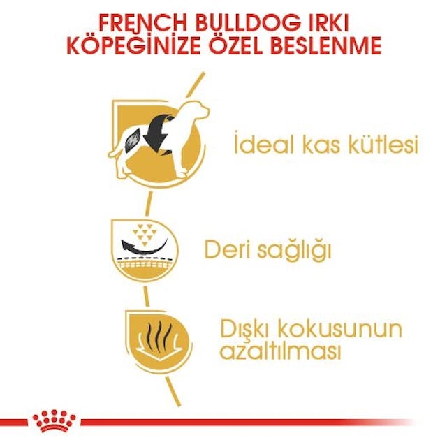 Royal Canin French Bulldog Adult 3 kg Yetişkin Köpek Maması