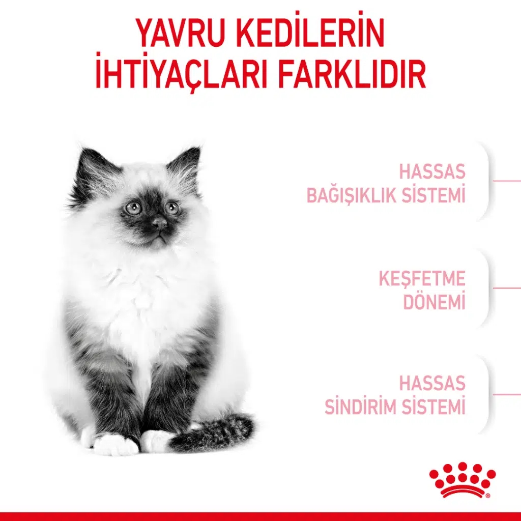 Royal Canin Kitten 36 10 kg Yavru Kuru Kedi Maması
