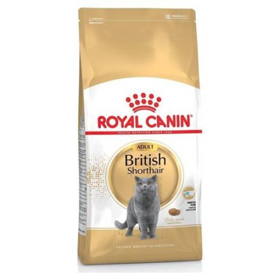 Royal Canin British Shorthair Yetişkin Kedi Maması 10 kg