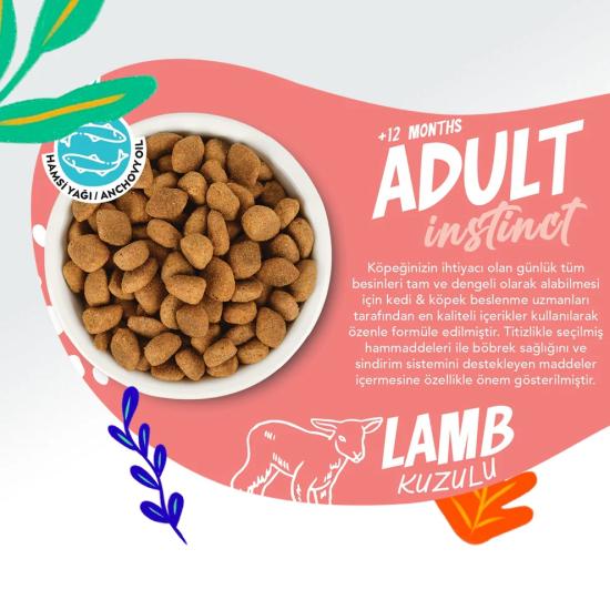 Jungle Kuzu Etli Yetişkin Köpek Maması 15kg