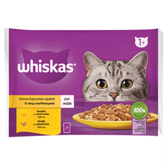 Whiskas Pure Delight Kümes Hayvanları Ziyafeti Tavuklu Hindili 4X85 gr (13 Adet)