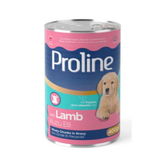 Proline Kuzu Etli ve Bal Kabaklı 400 GR Yavru Köpek Konserve Maması