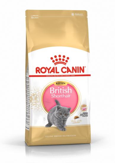 Royal Canin British Shorthair Kitten 2 Kg Yavru Kuru Kedi Maması