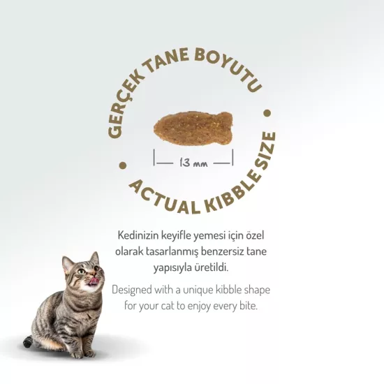 Felicia 12 Kg Kolajenli Somonlu Az Tahıllı Yetişkin Kedi Maması HypoAllergenic Kedi Maması