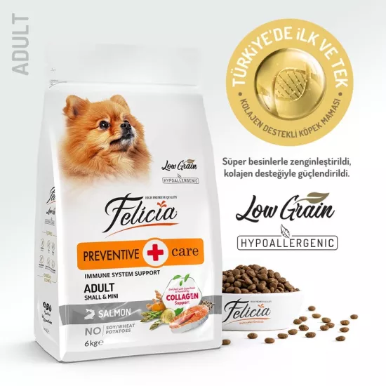 Felicia Kolajenli Somonlu Az Tahıllı Small Mini Yetişkin Köpek Maması Mini Hipoalerjenik 3 Kg