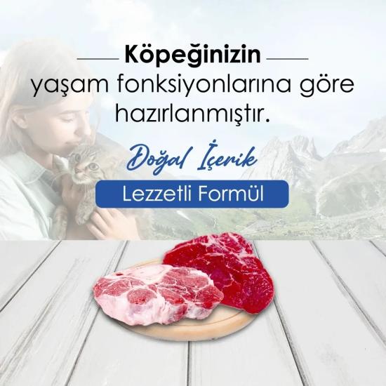 New Dog Biftekli Yetişkin Köpek Maması 15 kg
