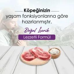 New Dog Kuzu Etli ve Pirinçli 15 kg Yetişkin Köpek Maması