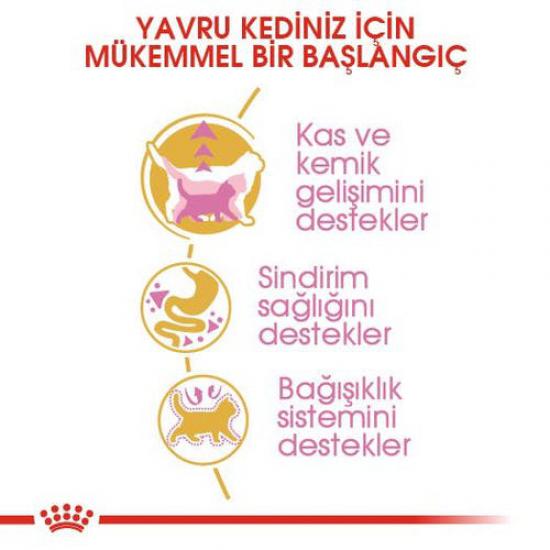 Royal Canin British Shorthair Kitten 2 Kg Yavru Kuru Kedi Maması