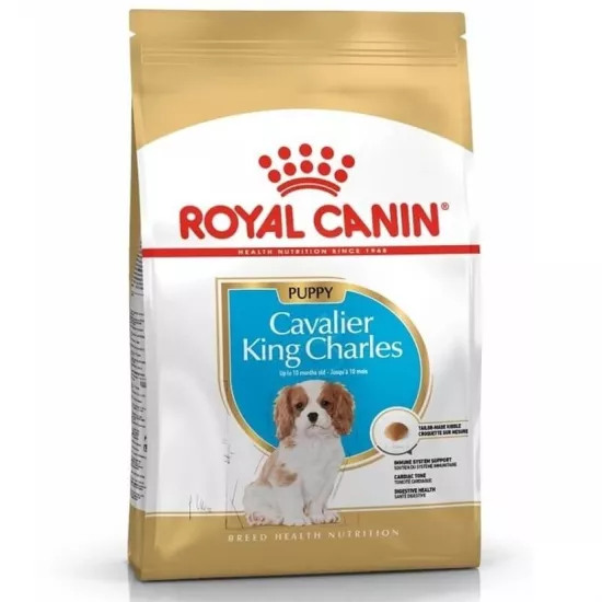 Royal Canin Cavalier King Charles Junior 1.5 kg Yavru Köpek Maması