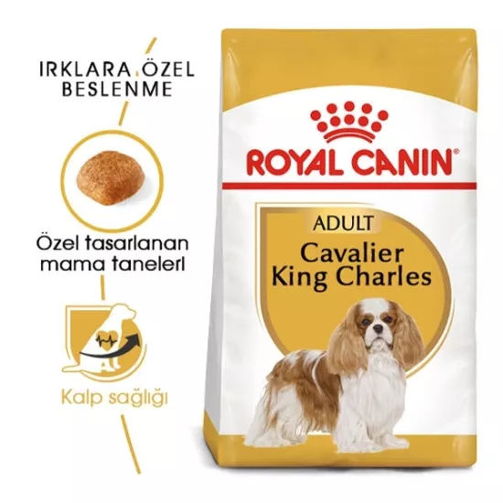 Royal Canin Cavalier King Charles 3 kg Yetişkin Köpek Maması