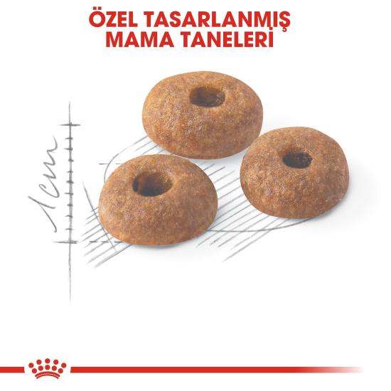Royal Canin Fit 32 15 kg Yetişkin Kedi Maması
