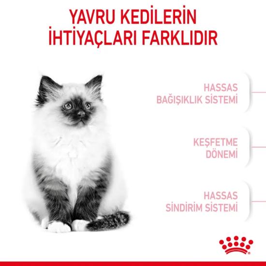 Royal Canin Kitten 36 10 kg Yavru Kuru Kedi Maması