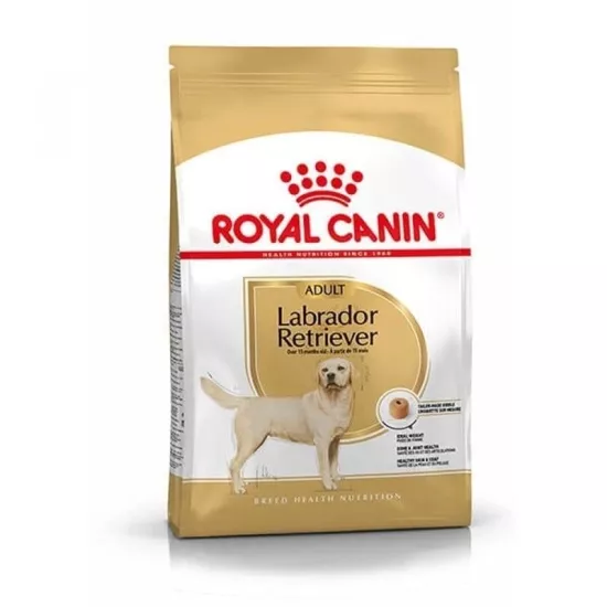 Royal Canin Labrador Retriever Irka Özel 12 kg Yetişkin Köpek Maması