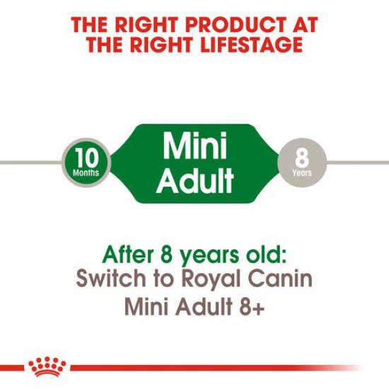Royal Canin Mini Adult 2 kg Küçük Irk Yetişkin Köpek Maması-3182550402170