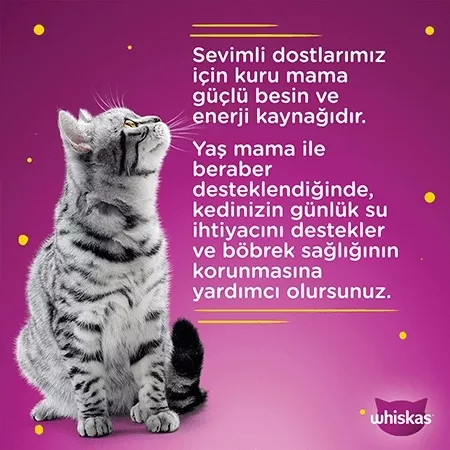 Whiskas Balık Favorileri Yaş Kedi Maması 4’lü 85 gr X 13 Adet