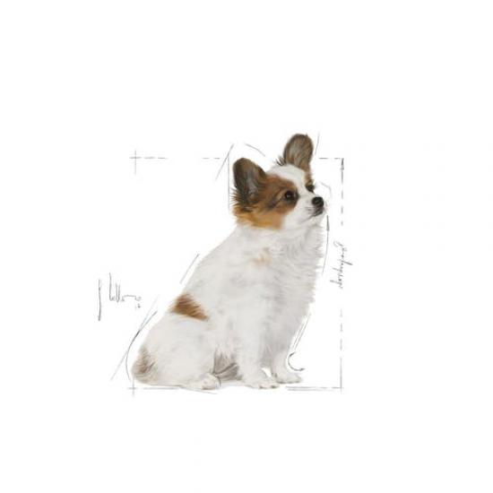 Royal Canin Xsmall Junior 1.5 kg Küçük Irk Yavru Köpek Maması - 3182550793612