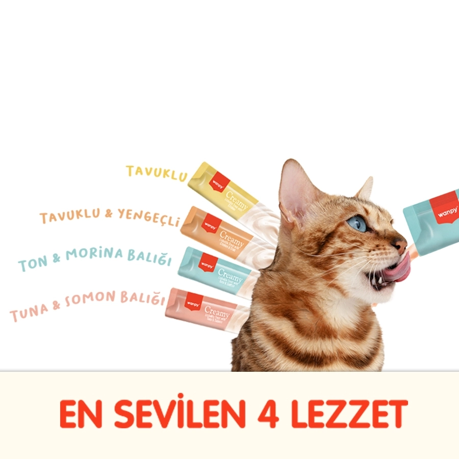 Wanpy Karışık 4 Lezzet 100’lü Krema Kedi Ödülü 100x14 gr